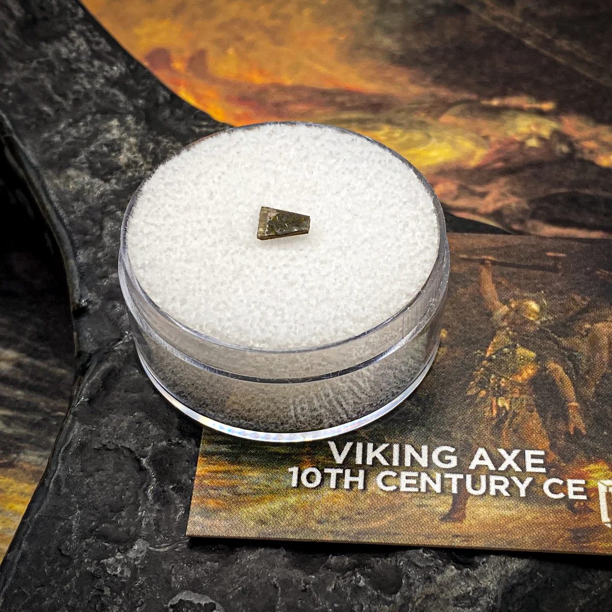 Viking Axe Classic Riker Box Specimen - Image 5