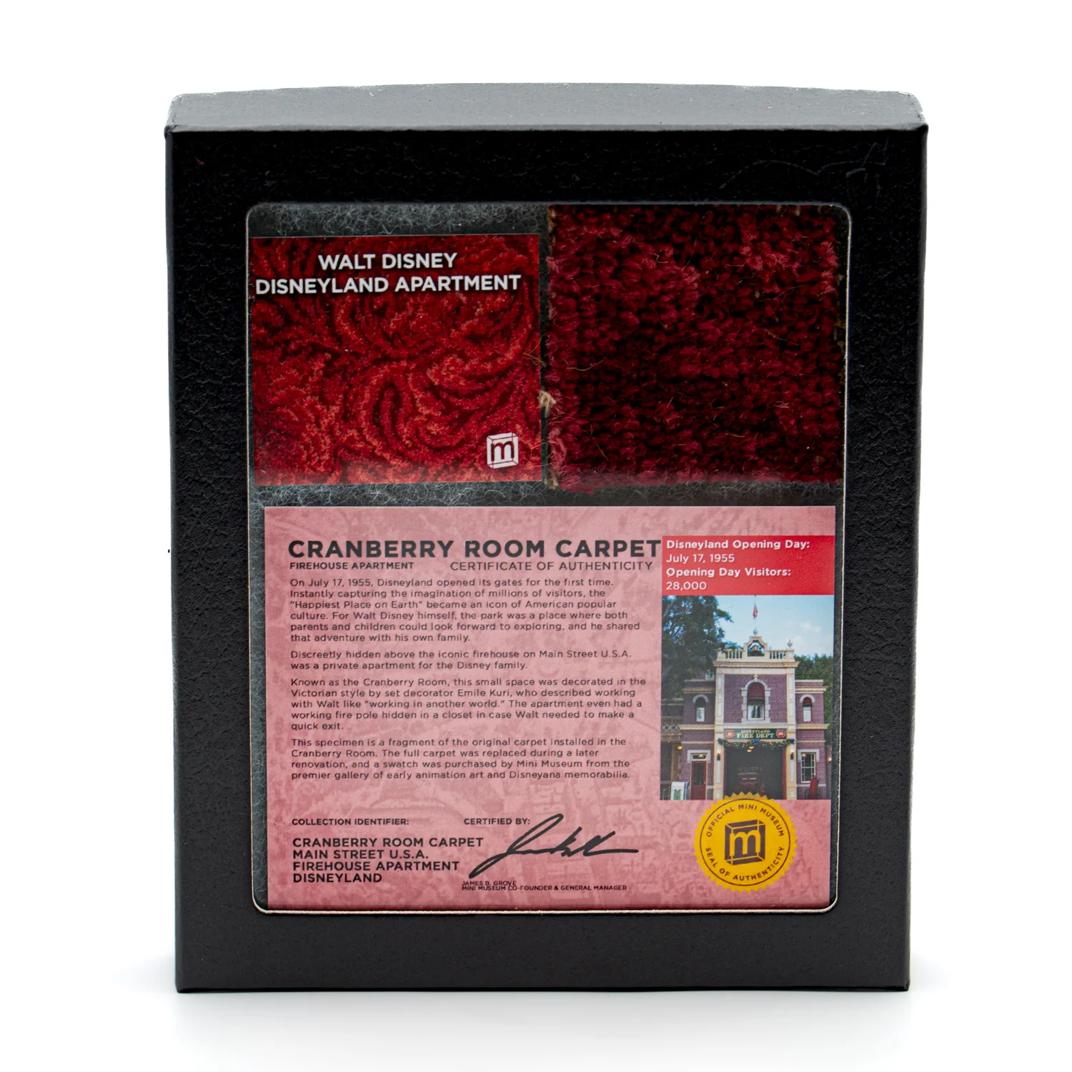 Walt Disney Disneyland Cranberry Room Carpet - 2x2 Inches - Image 3