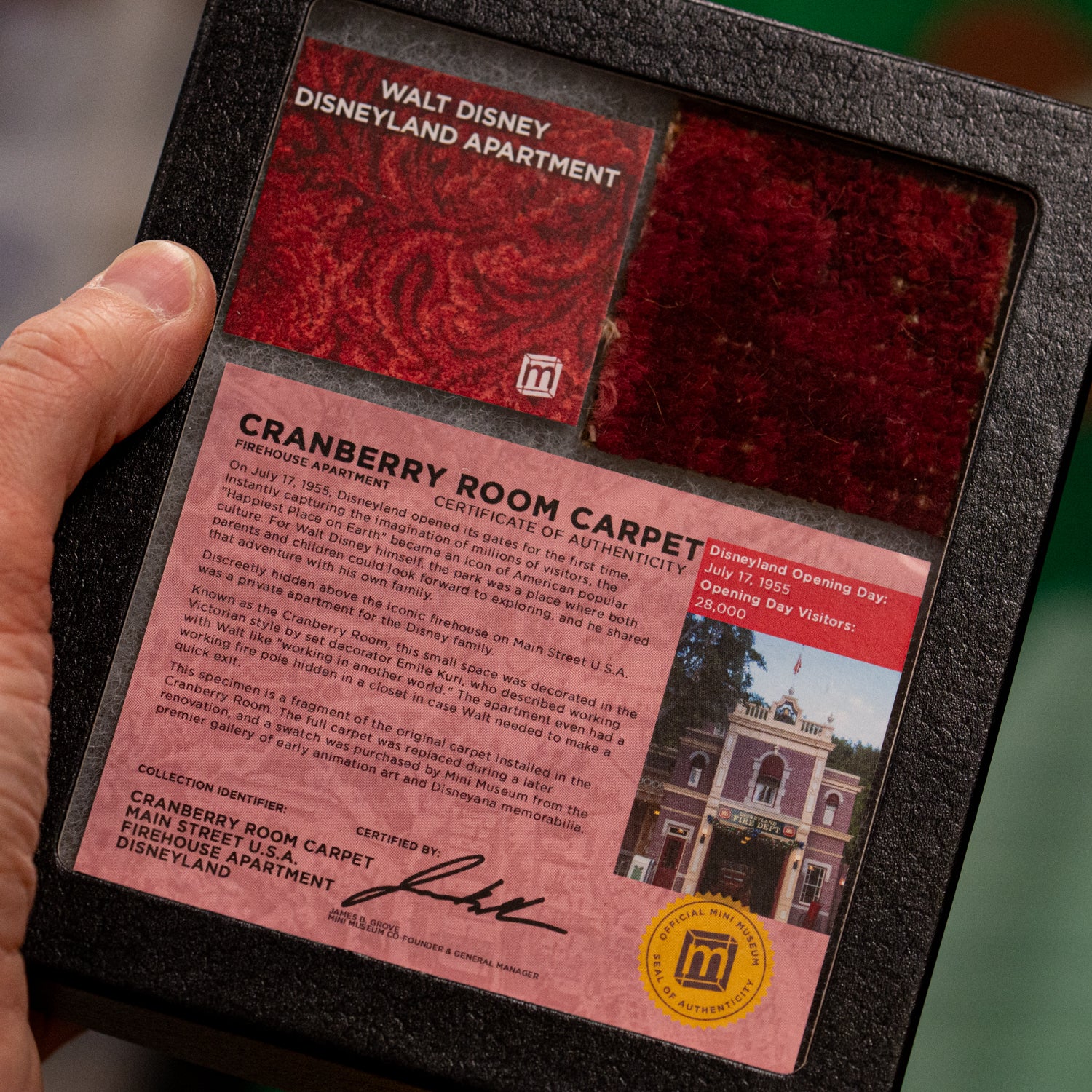 Walt Disney Disneyland Cranberry Room Carpet - 2x2 Inches - Image 8