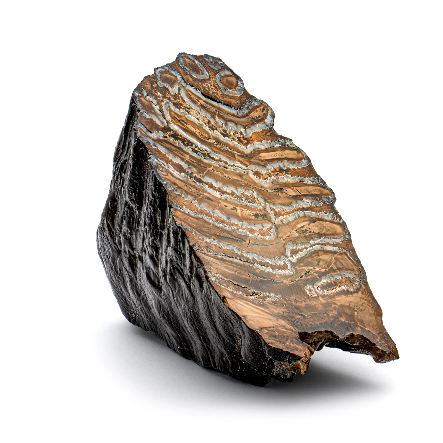 Woolly Mammoth Tooth - SOLD 4.12" Polished Slab - Alaskan