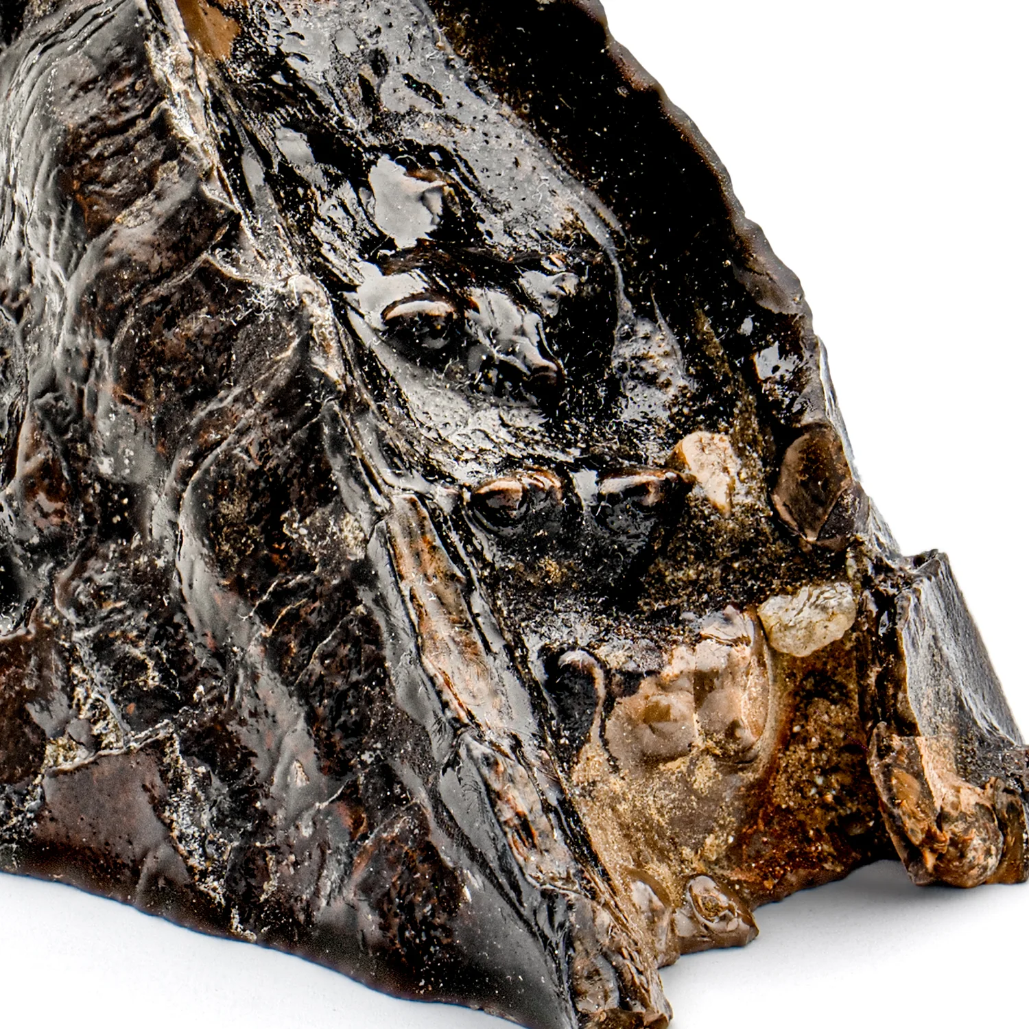 Woolly Mammoth Tooth - SOLD 4.12" Polished Slab - Alaskan - Image 3