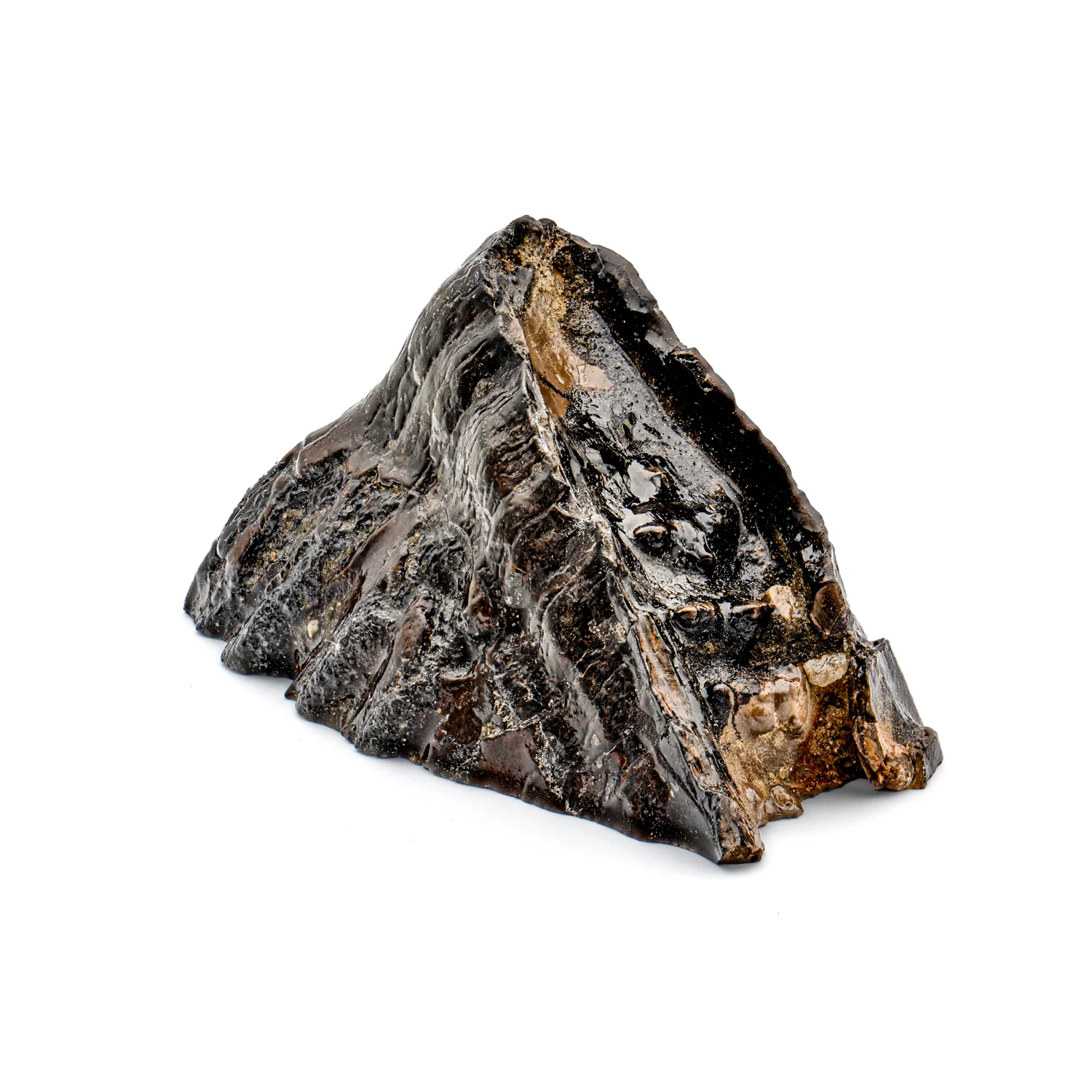 Woolly Mammoth Tooth - SOLD 4.12" Polished Slab - Alaskan - Image 4