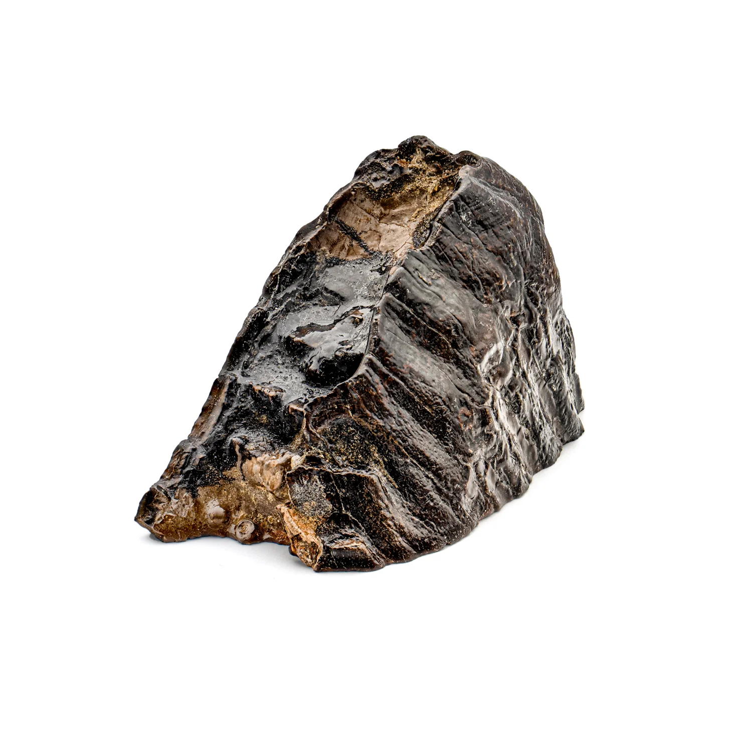 Woolly Mammoth Tooth - SOLD 4.12" Polished Slab - Alaskan - Image 5