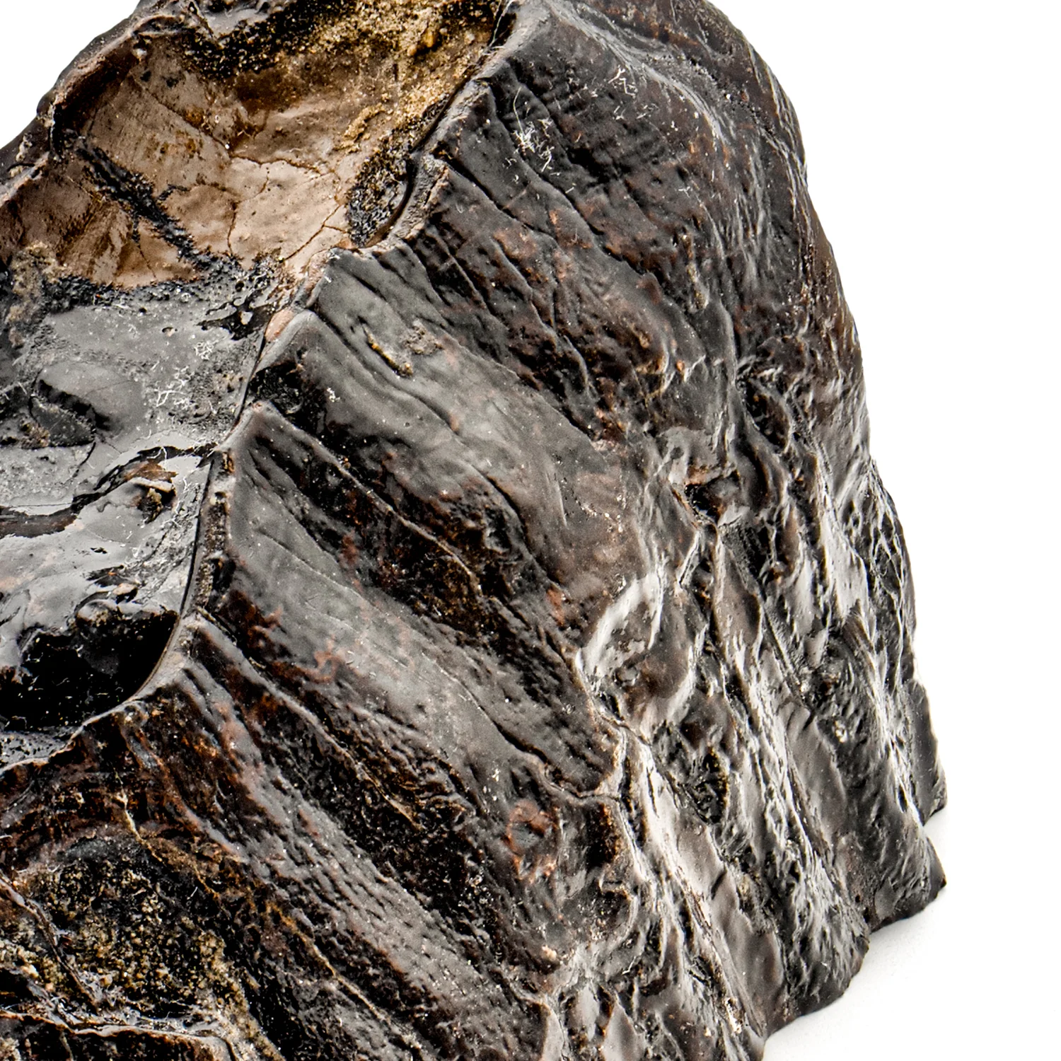 Woolly Mammoth Tooth - SOLD 4.12" Polished Slab - Alaskan - Image 6