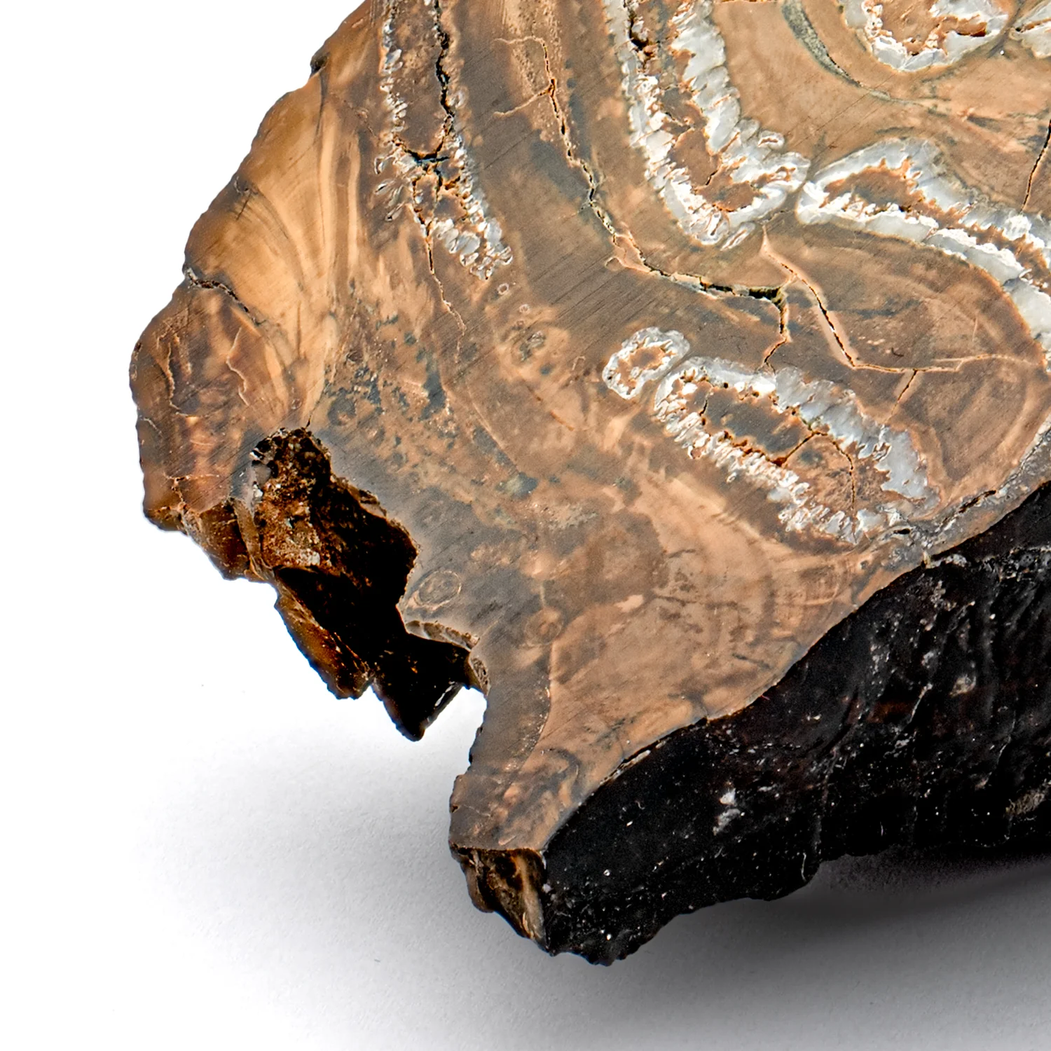 Woolly Mammoth Tooth - SOLD 4.12" Polished Slab - Alaskan - Image 9