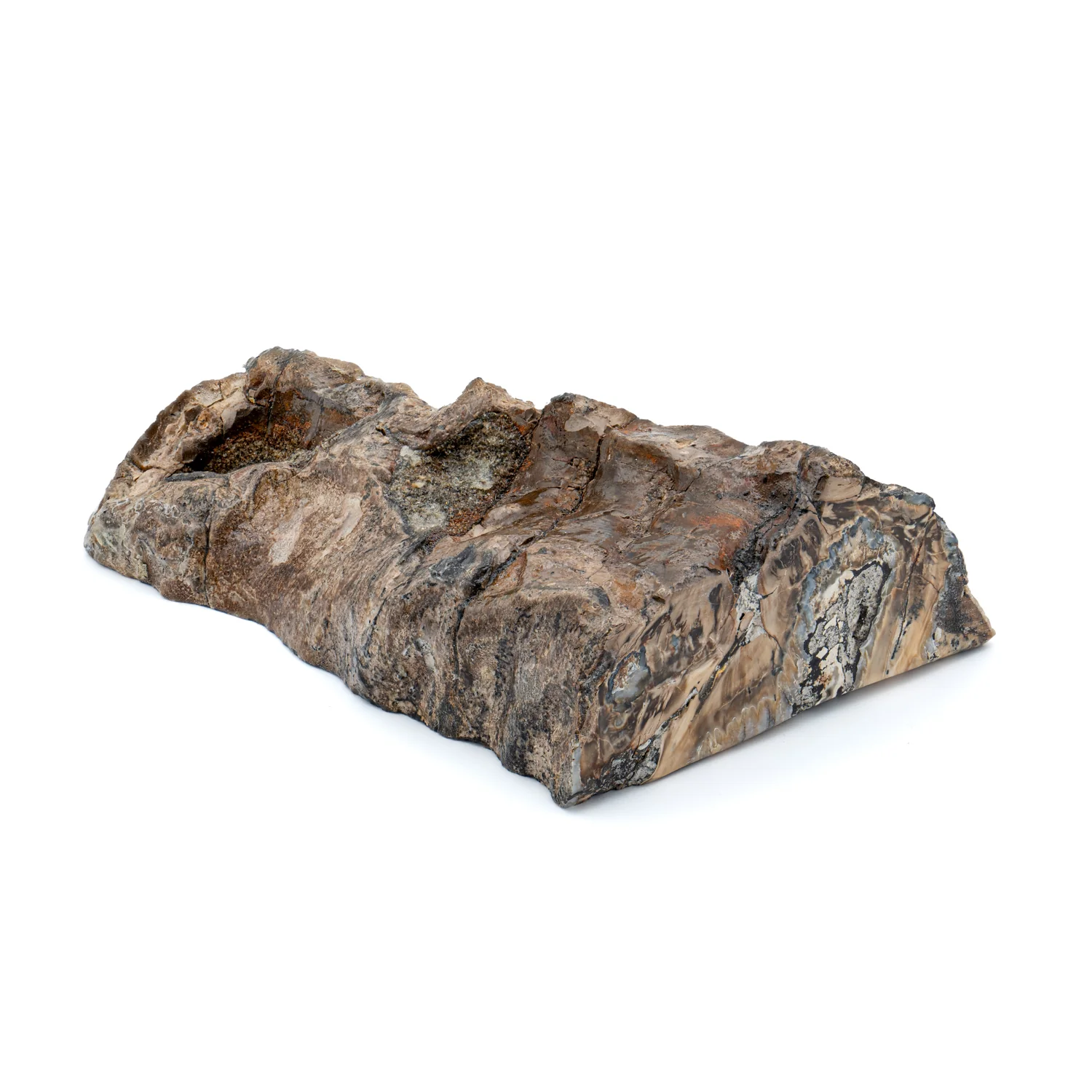 Woolly Mammoth Tooth - SOLD 4.56" Polished Slab - Alaskan - Image 2