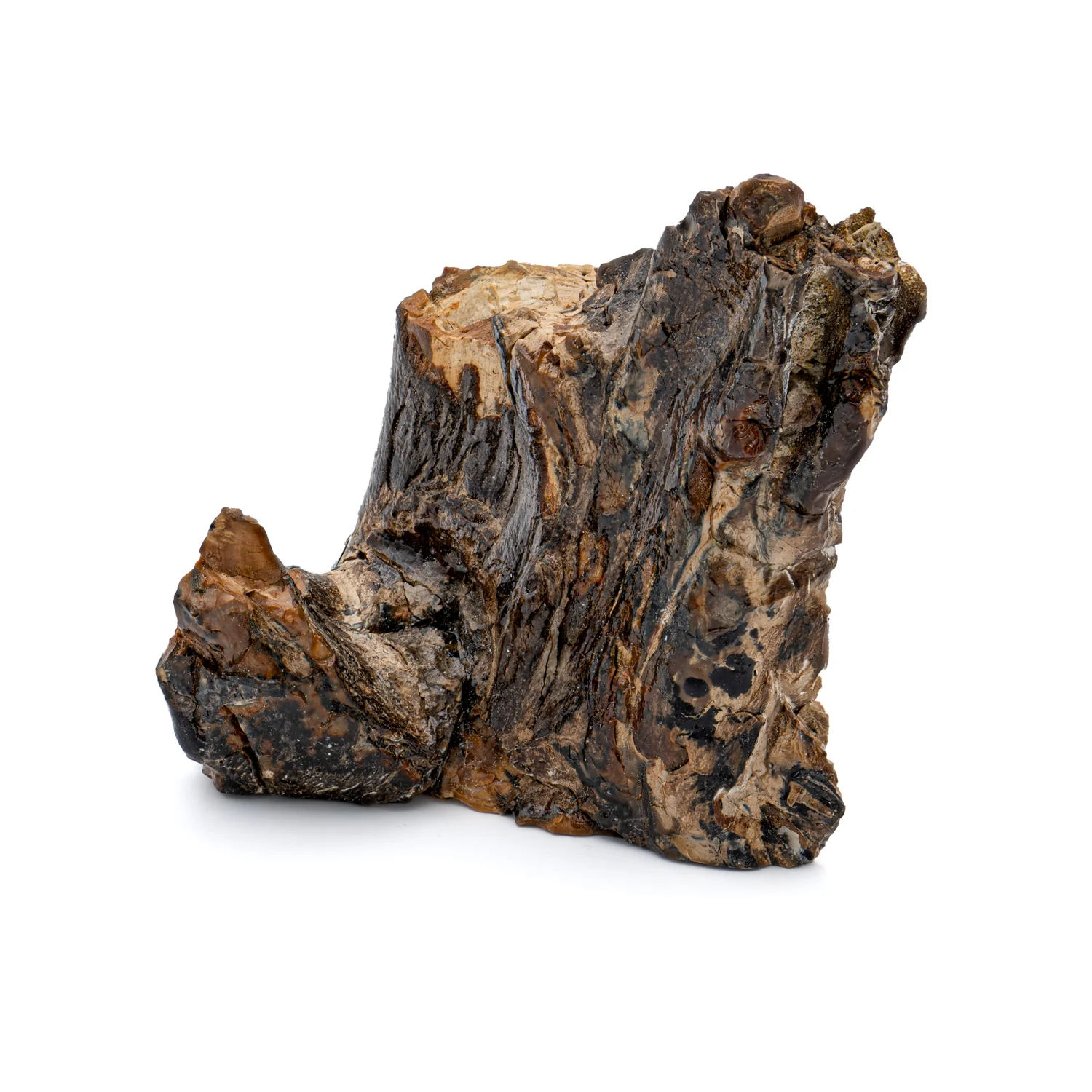 Woolly Mammoth Tooth - SOLD 4.59" Polished Slab - Alaskan - Image 3